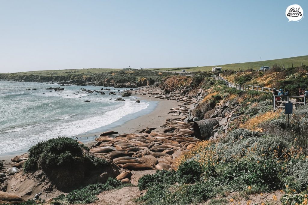 bigsur-w-7
