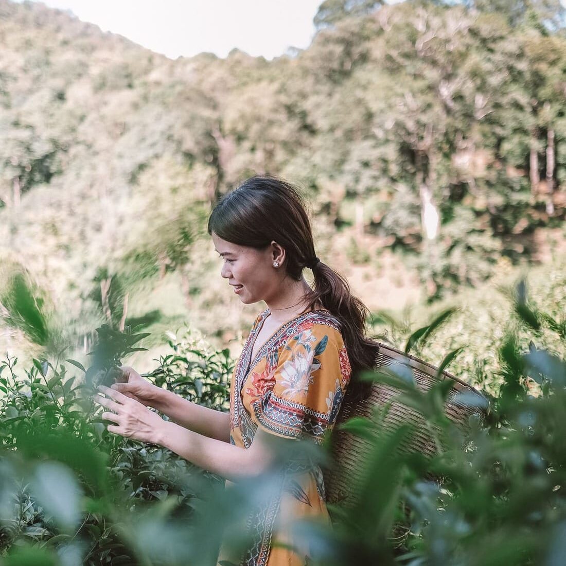chiangmai-17