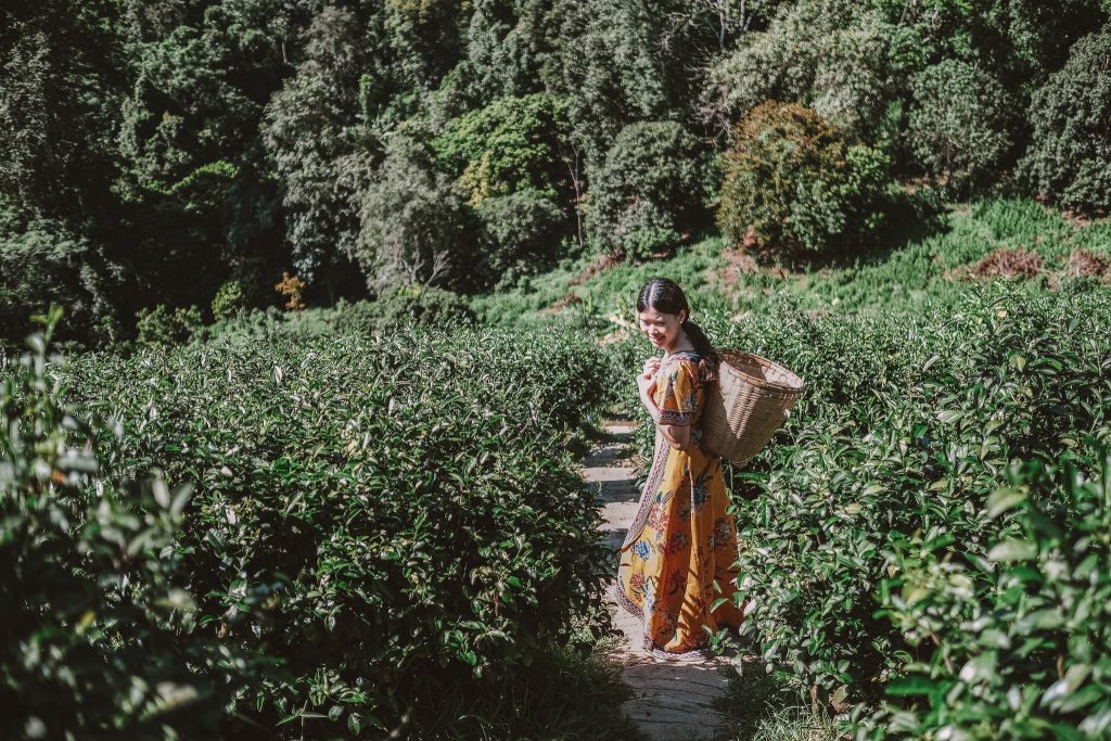 chiangmai-18