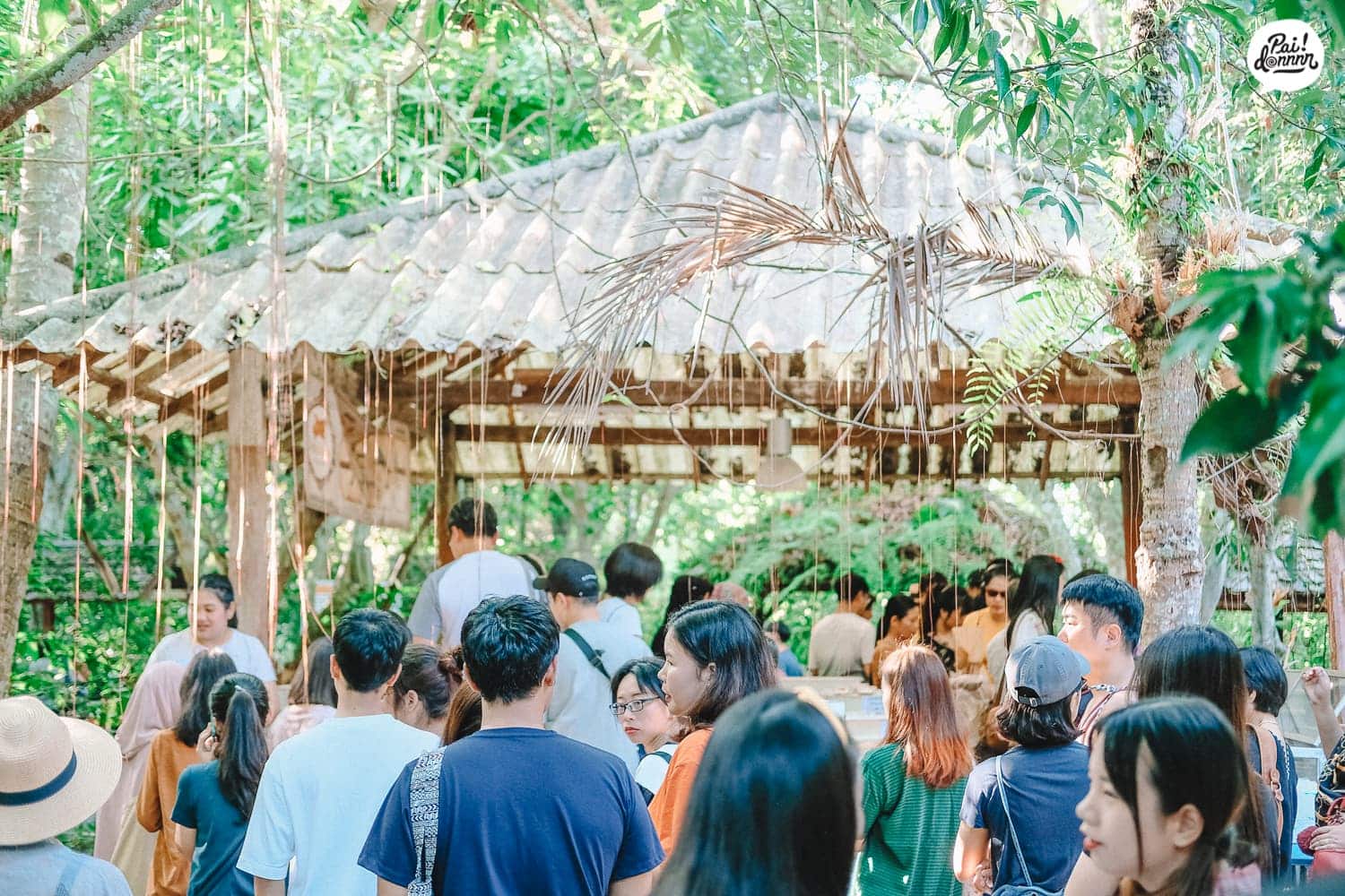 chiangmai-11